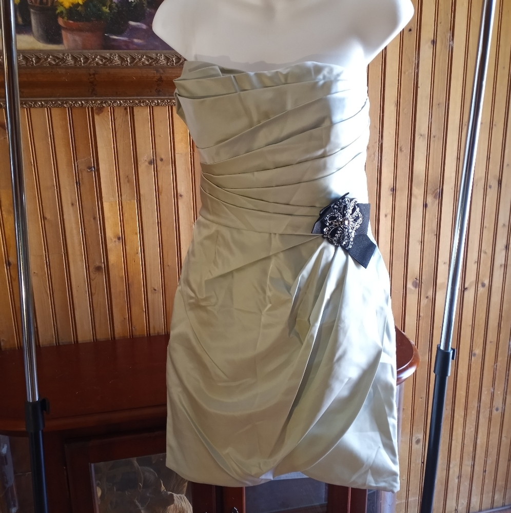 LOVE brand, Formal short gown, pale mint green color size 14